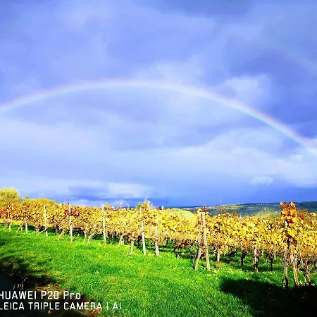 Felicidad Apartment Lochgau